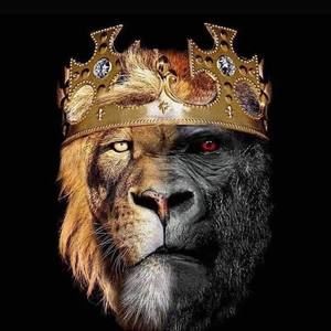 Meet your Posher, Kywon